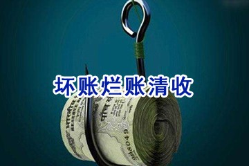 个人追账清账